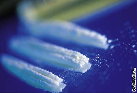 Policejní test odhalil u idie marihuanu, kokain a pervitin, mu se poté k jejich poití piznal. Ilustraní foto