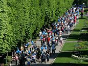 V Olomouci p�ekonávali rekord v po�tu ko�árk� jedoucíh po vyzna�ené trase