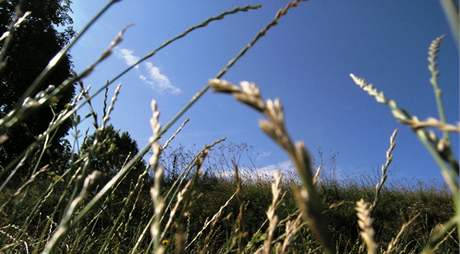 V úterý meteorologové pedpovídají polojasno a skoro jasno, ojedinle pi zvtené oblanosti bouky. Ilustraní foto.