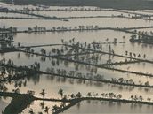 Cyklonem Nargis poniená delta Iravadi v Barm (22. kvtna 2008)