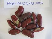 Plesnivé biofazole dová�ené z �íny