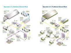 Spolenosti DuPont a Danisco vyvjej biopaliva nov generace