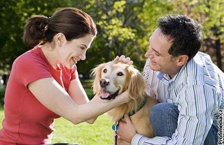Pes má vliv napíklad na lidský imunitní systém, alergie, nebo náchylnost k astmatu.