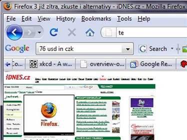 Firefox 3 - Zoom mini