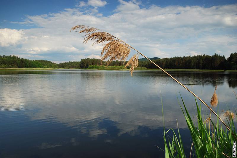 Rybník Drník je nejkrásnjím ze soustavy Hradanských rybník.