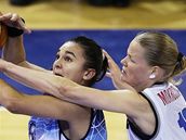 �esko - Argentina, kvalifikace o OH