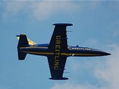 Breitling Jet Team létá na strojích Albatros L-39