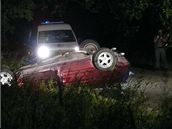 �idi� dostal smyk a oto�il auto na st�echu.