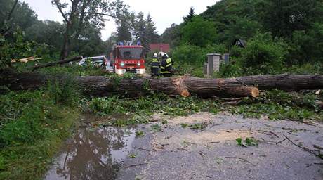 Hasii odstraovali po stedení bouce popadané stromy v obci Jarov na Plzesku.