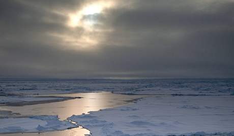 Brit Pugh plaval v arktických vodách u severního pólu. Teplota vody tam dosahuje -1,8 stupn Celsia. Ilustraní foto.