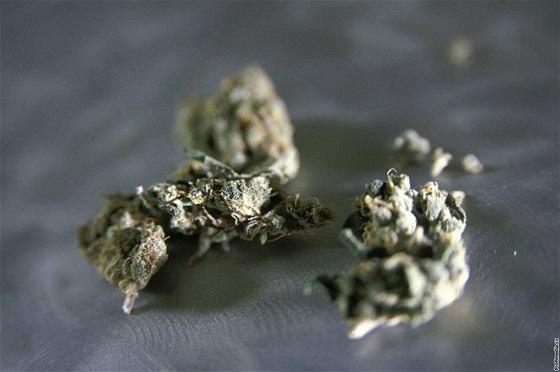 Po požití drogy z Asie, která obsahuje výtažky z konopí, ale je stokrát silnější než marihuana, loni v prosinci málem zemřel 41letý muž z Brna (ilustrační snímek).