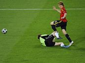 Fernando Torres 