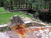 Od pramene k prameni v podh��í Jeseník�