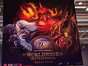 Blizzard Worldwide Invitational 2008 - vstup