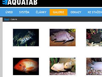 Aquatab.net 