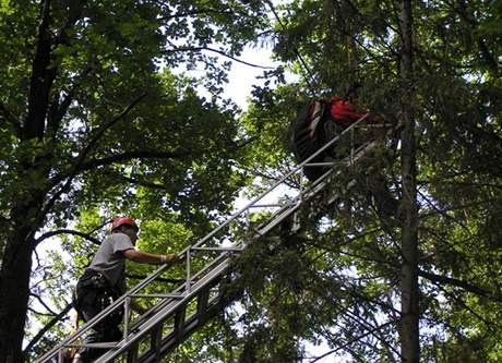 Zchrana parautisty, kter uvzl v korun strom nedaleko obce Poleka na Klatovsku. . 