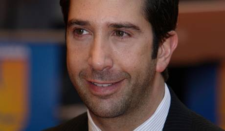 David Schwimmer, kterého diváci znají hlavn jako Rosse ze seriálu Pátelé, je také reisér.