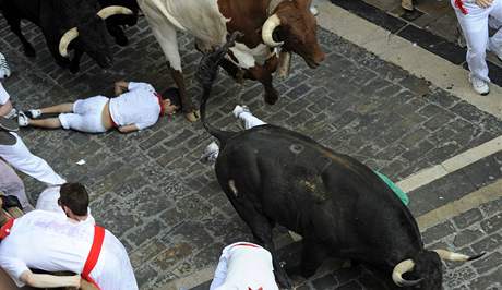 Tináct lidí utrplo zranní pi prvním vypoutní býk v severopanlské Pamplon, které se zde kadoron koná v rámci oslav svatého Fermína.