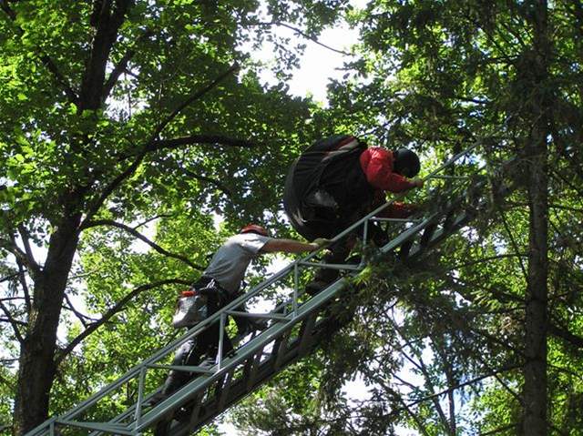 Záchrana parautisty, který uvízl v korun strom nedaleko obce Poleka na Klatovsku. . 