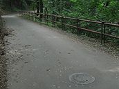 Místo, kde byla u�itelka zavra�d�na (u �eky Svratky)