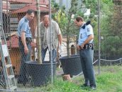 Policisté vyetují vyloupení zahradnictví v Beneov 