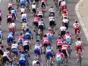 cyklistika, �eny, peloton