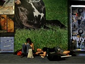 43. MFFKV - unavení náv�t�vníci festivalu