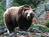 �elma na obhl�dce teritoria