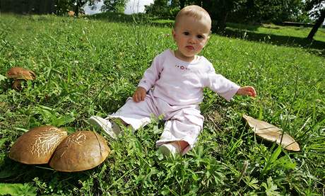 Kristýnka Lukáková sedí mezi houbami, které vyrostly uprosted návsi ve Hvzdlicích na Vykovsku