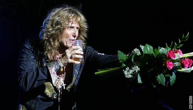 Whitesnake