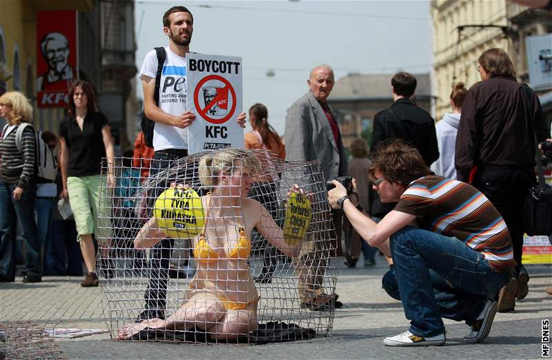 Aktivisté chtjí, aby se lidé zaali zajímat o to, jaký ivot brojler proije, ne se jim dostane na talí.