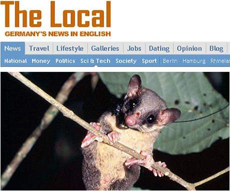 Tana péroocasá na snímku německého serveru TheLocal.de. Zvíře, které se živí alkoholickým nektarem, nejeví žádné známky opilosti.