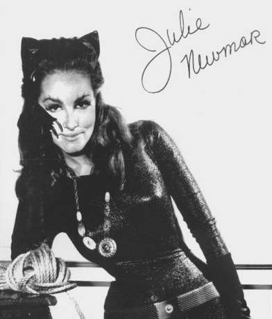 Catwoman proslavila v edestch letech hereka Julie Newmarov