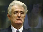 Radovan Karadi u soudu v Haagu (30. ervence 2008)