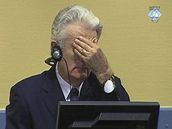 Radovan Karadi u soudu v Haagu (30. ervence 2008)