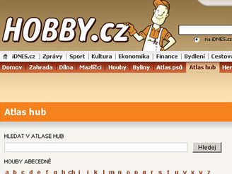 Hobby.iDNES.cz 