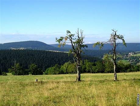 V Kruných horách by mohla jet letos vzniknout nová Národní pírodní rezervace Rolavské vrchovit.