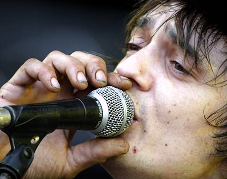 Sziget 2008 - Pete Doherty (Babyshambles)