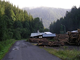 Tra na Vek bok v Nzkch Tatrch