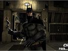 Batman: Arkham Asylum