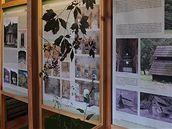 Výstava o historii a budoucnosti zahrady a parku na Perntejn je otevena do 31. íjna 2008