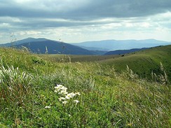 Tra na Vek bok v Nzkch Tatrch