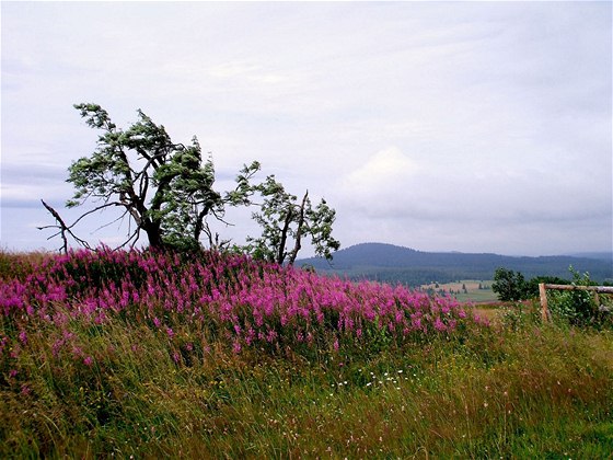  pohled na piák, Boí Dar