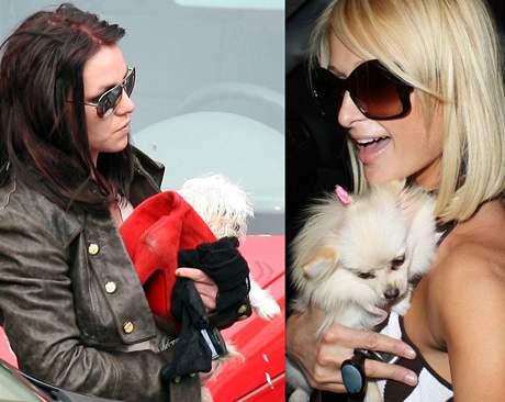 Britney Spears a Paris Hiltonová se svými psíky