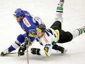 Mladá Boleslav - Kometa Brno, semifinále Tipsport Cupu