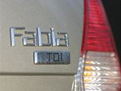 Nejvyrábnjím autem mladoboleslavské kody je model Fabia. Ilustraní foto.