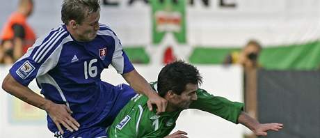 Slovensko - Severn� Irsko: �urica proti Gillespiemu