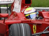 Felipe Massa v akci