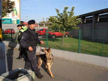 Spolen akce policie, strnk a cizineck policie v ulicch Plzn (10.9.2008)