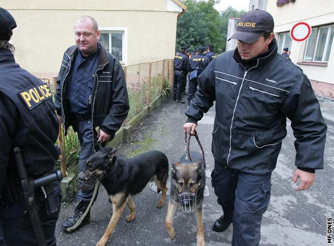 Policie do hledání malého chlapce zapojila také psy.